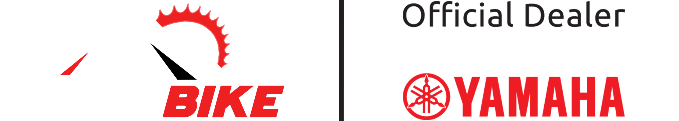 light logo