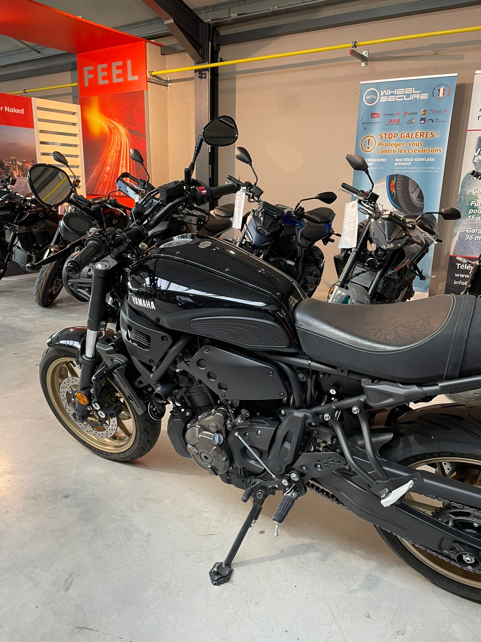 Xsr700 – Image 4